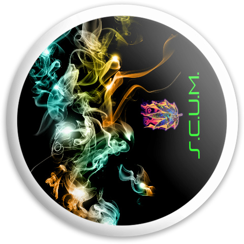 Design 195511 Disc Golf and Ultimate Discs