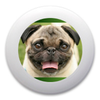 Pugalicious