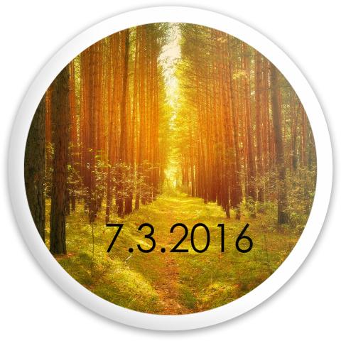 Design 199163 Disc Golf and Ultimate Discs