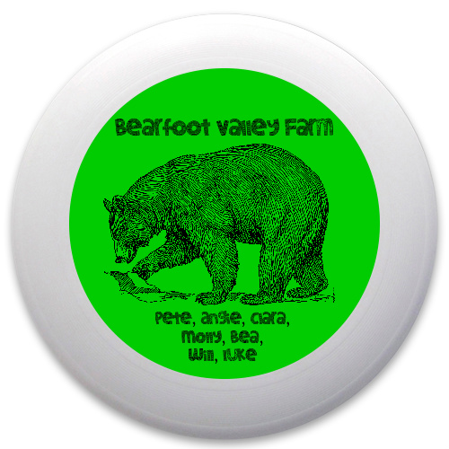 Design 203351 Disc Golf and Ultimate Discs