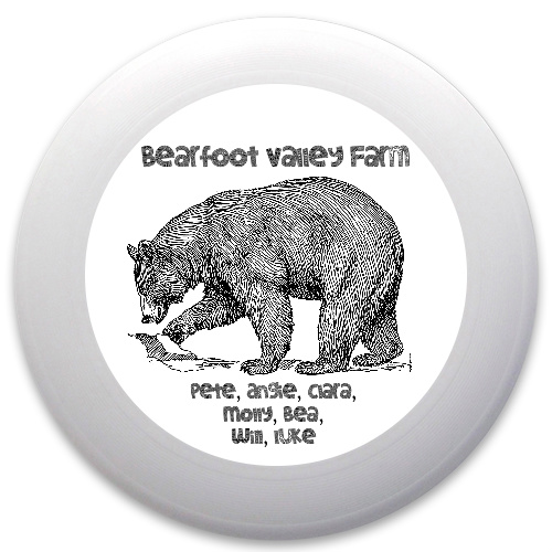 Design 203353 Disc Golf and Ultimate Discs