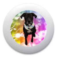 Design 205634 Disc Golf and Ultimate Discs Image