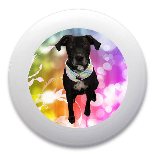 Design 205634 Disc Golf and Ultimate Discs