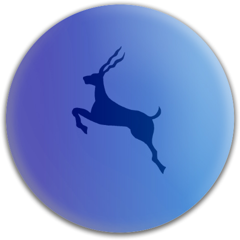 Design 206088 Disc Golf and Ultimate Discs