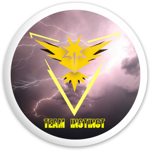 Design 206719 Disc Golf and Ultimate Discs