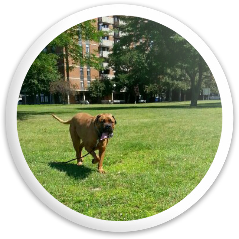 Design 206576 Disc Golf and Ultimate Discs