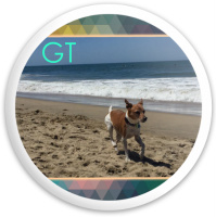 GT
