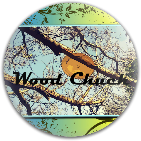 Design 207079 Disc Golf and Ultimate Discs