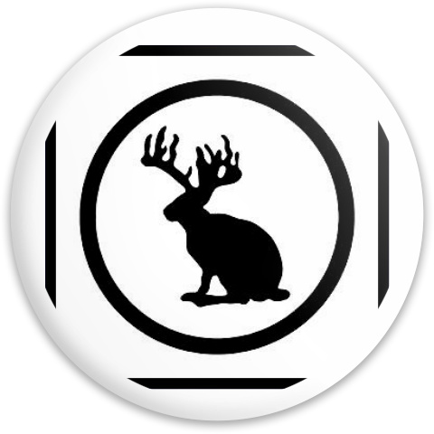 Design 208281 Disc Golf and Ultimate Discs