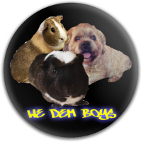 Design 201514