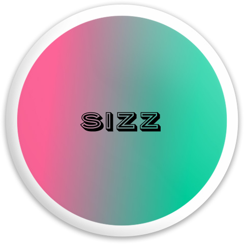Design 212295 Disc Golf and Ultimate Discs
