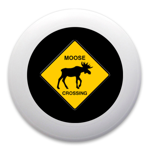 Design 213663 Disc Golf and Ultimate Discs