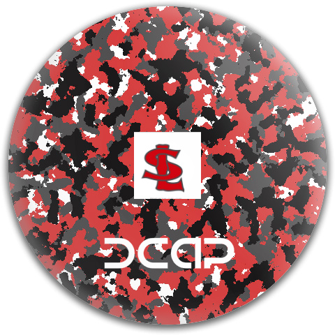 Design 214055 Disc Golf and Ultimate Discs