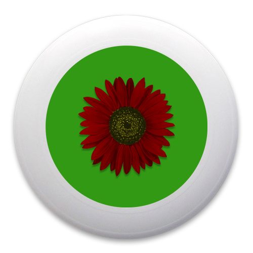 Design 209724 Disc Golf and Ultimate Discs