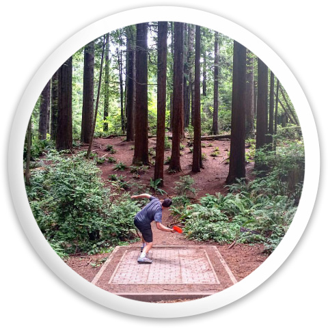 Design 216271 Disc Golf and Ultimate Discs