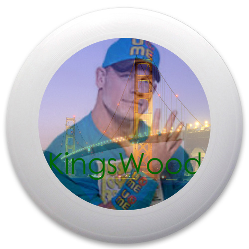Design 217593 Disc Golf and Ultimate Discs