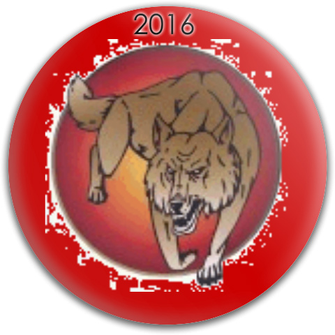 Design 218579 Disc Golf and Ultimate Discs