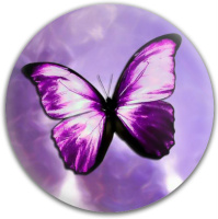 Design 218624 Disc Golf and Ultimate Discs Image