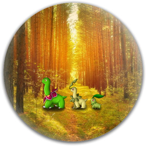 Design 210252 Disc Golf and Ultimate Discs