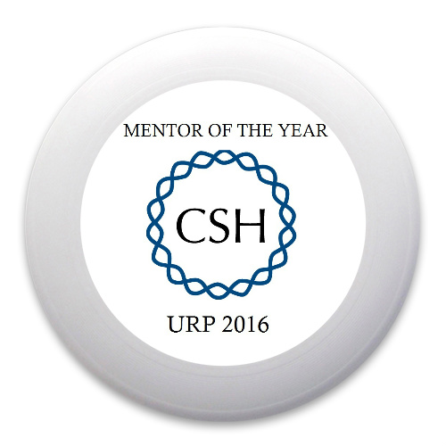 Design 212140 Disc Golf and Ultimate Discs