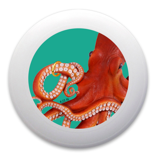 Design 226877 Disc Golf and Ultimate Discs