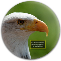 Design 227864 Disc Golf and Ultimate Discs Image