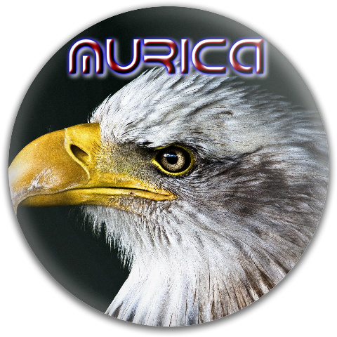 Design 219397 Disc Golf and Ultimate Discs