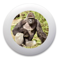 Harambe our lord and savior