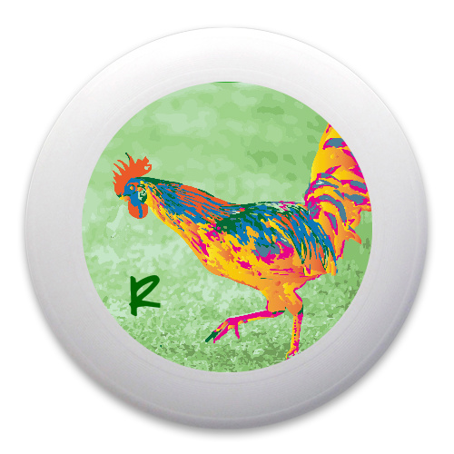 Design 220996 Disc Golf and Ultimate Discs