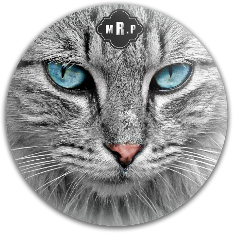 Design 221325 Disc Golf and Ultimate Discs