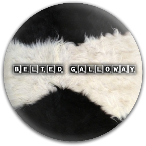 Design 272534 Disc Golf and Ultimate Discs