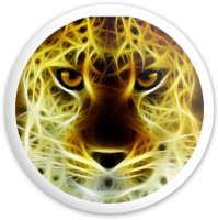 fire cheetah