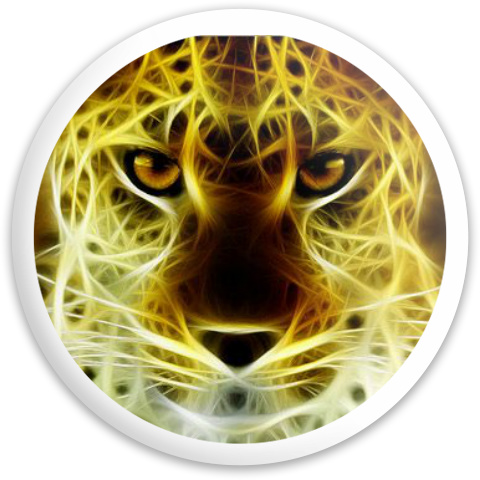 Design 267704 Disc Golf and Ultimate Discs