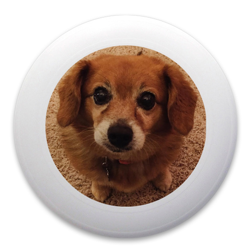 Design 276301 Disc Golf and Ultimate Discs