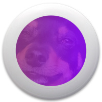 Pac Disc Golf and Ultimate Discs Image