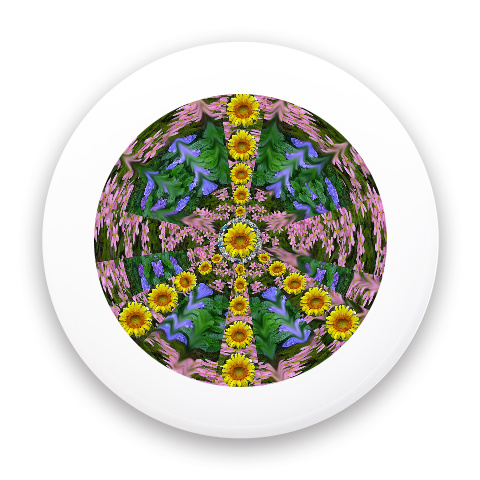 Design 360714 Disc Golf and Ultimate Discs