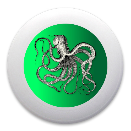 Design 373732 Disc Golf and Ultimate Discs