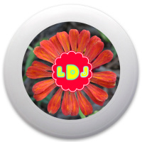 Lauren&amp;#039;s Flower Power