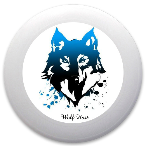 Design 283925 Disc Golf and Ultimate Discs