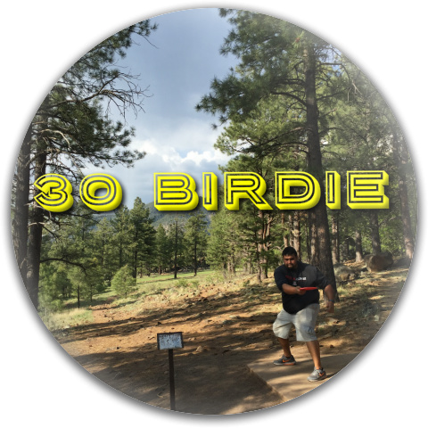Design 284732 Disc Golf and Ultimate Discs