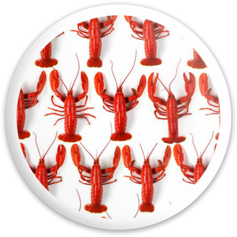 Design 277126 Disc Golf and Ultimate Discs