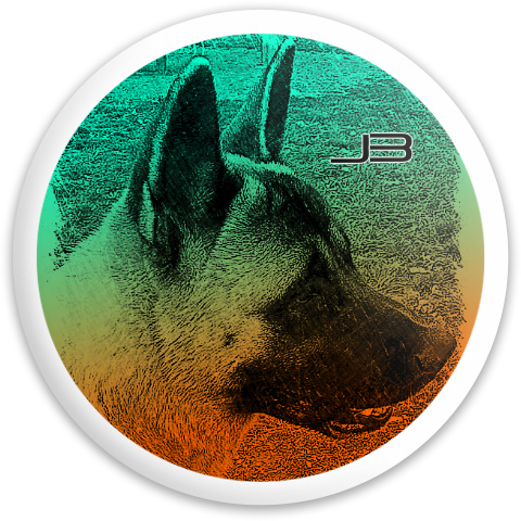 Design 278897 Disc Golf and Ultimate Discs