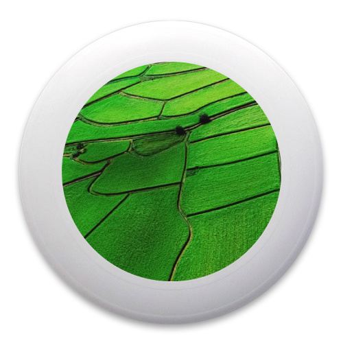 Design 290265 Disc Golf and Ultimate Discs
