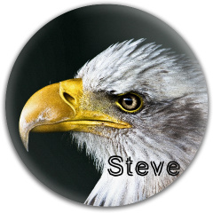EAGLE STEVE Disc Golf and Ultimate Discs Image
