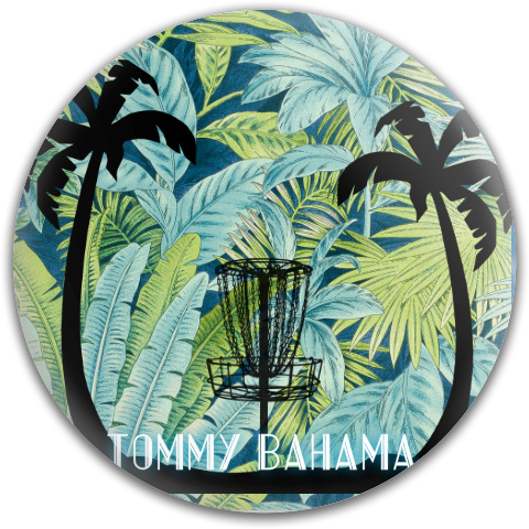 Design 293831 Disc Golf and Ultimate Discs