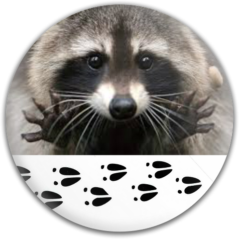 Design 299759 Disc Golf and Ultimate Discs