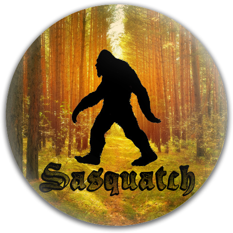 Design 295492 Disc Golf and Ultimate Discs
