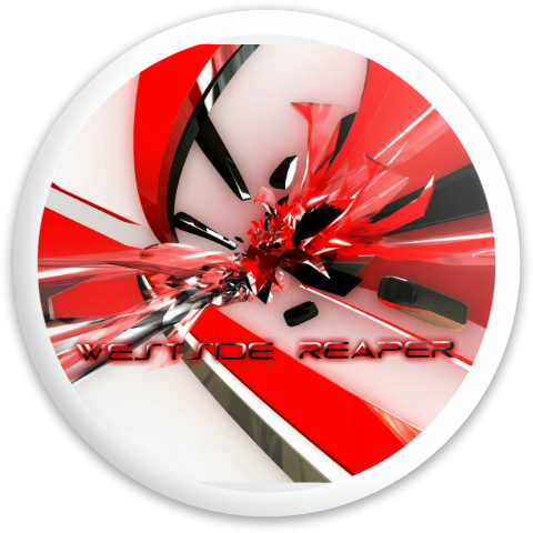 Design 295887 Disc Golf and Ultimate Discs