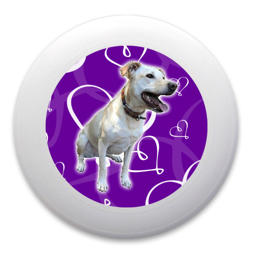 Design 308908 Disc Golf and Ultimate Discs