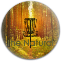 Design 309314 Disc Golf and Ultimate Discs Image